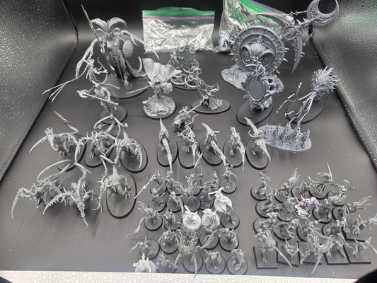 large Hedonites of Slaanesh Army AOS with custom cut foam box1