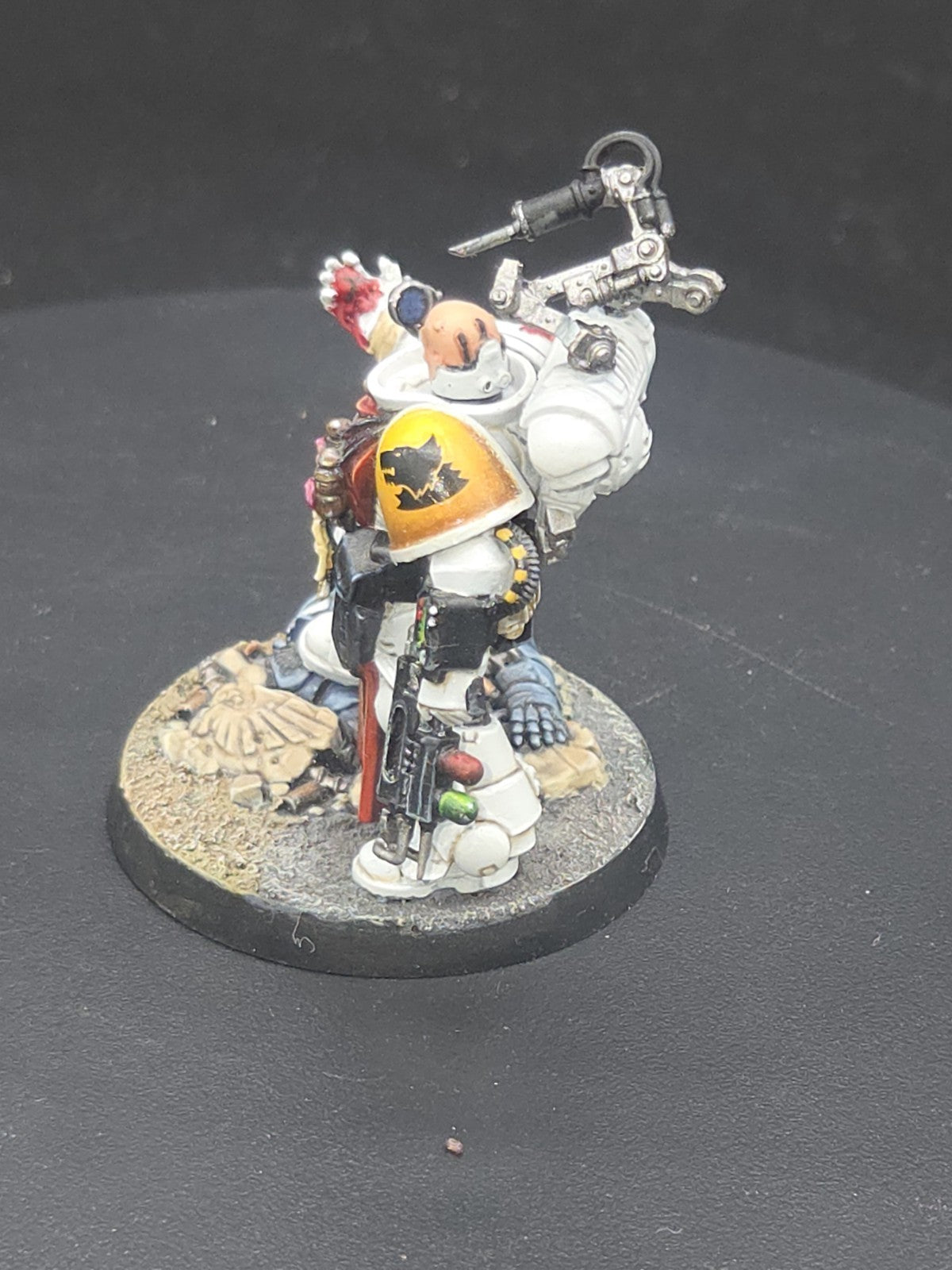 Space Wolves Apothecary - Warhammer 40K Games Workshop Well Painted See desc2