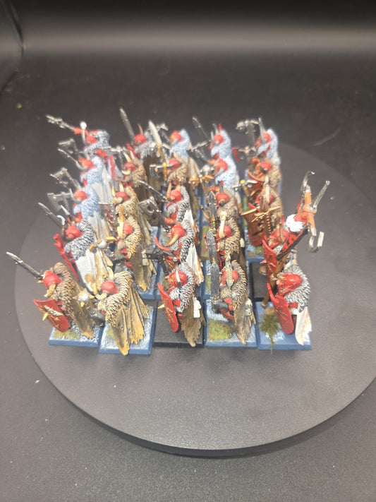 Warhammer Age Of Sigmar Slaves To Darkness Chaos Warriors x25 Well painted 1