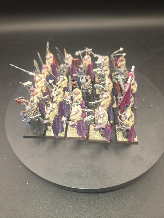 Warhammer Age Of Sigmar Slaves To Darkness Chaos Warriors x25 Well painted 1