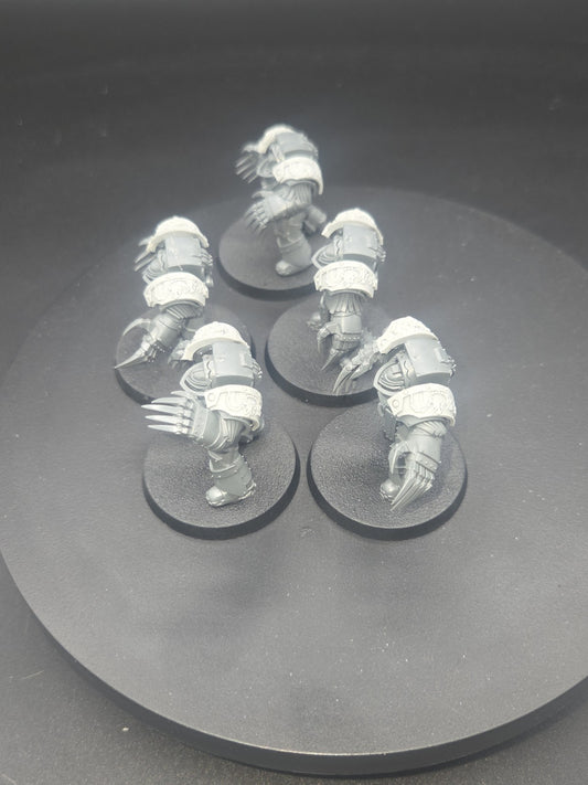 Cataphractii Terminators x5 with Forgeworld Alpha legion Shoulders1