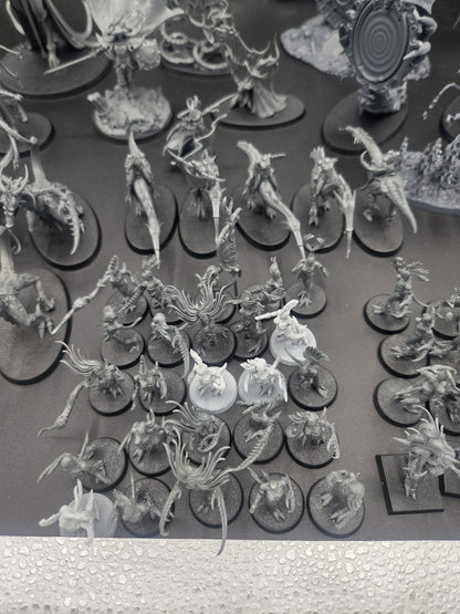 large Hedonites of Slaanesh Army AOS with custom cut foam box6