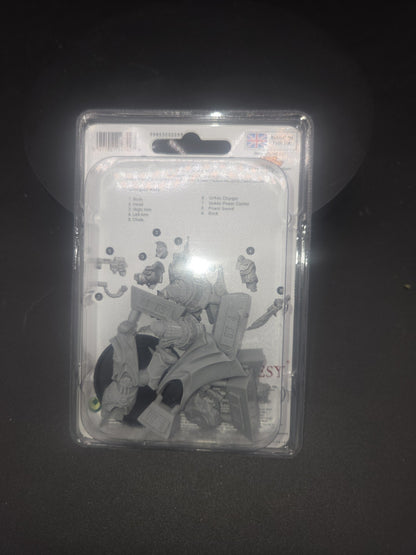 Alpha Legion Legion Cataphractii Praetor painted Warhammer 40k Horus Heresy NiB1