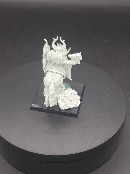 Chaos Lord on Daemonic Mount  (Finecast) Slaves to Darkness AoS  2