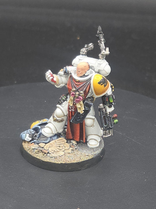 Space Wolves Apothecary - Warhammer 40K Games Workshop Well Painted See desc0