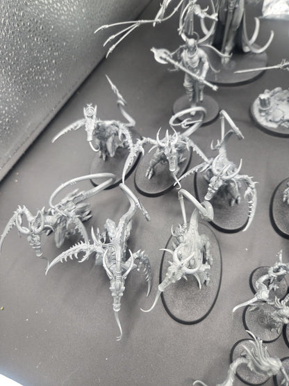 large Hedonites of Slaanesh Army AOS with custom cut foam box5