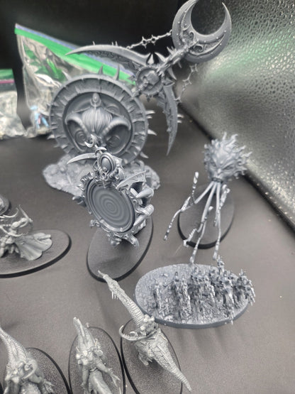 large Hedonites of Slaanesh Army AOS with custom cut foam box4