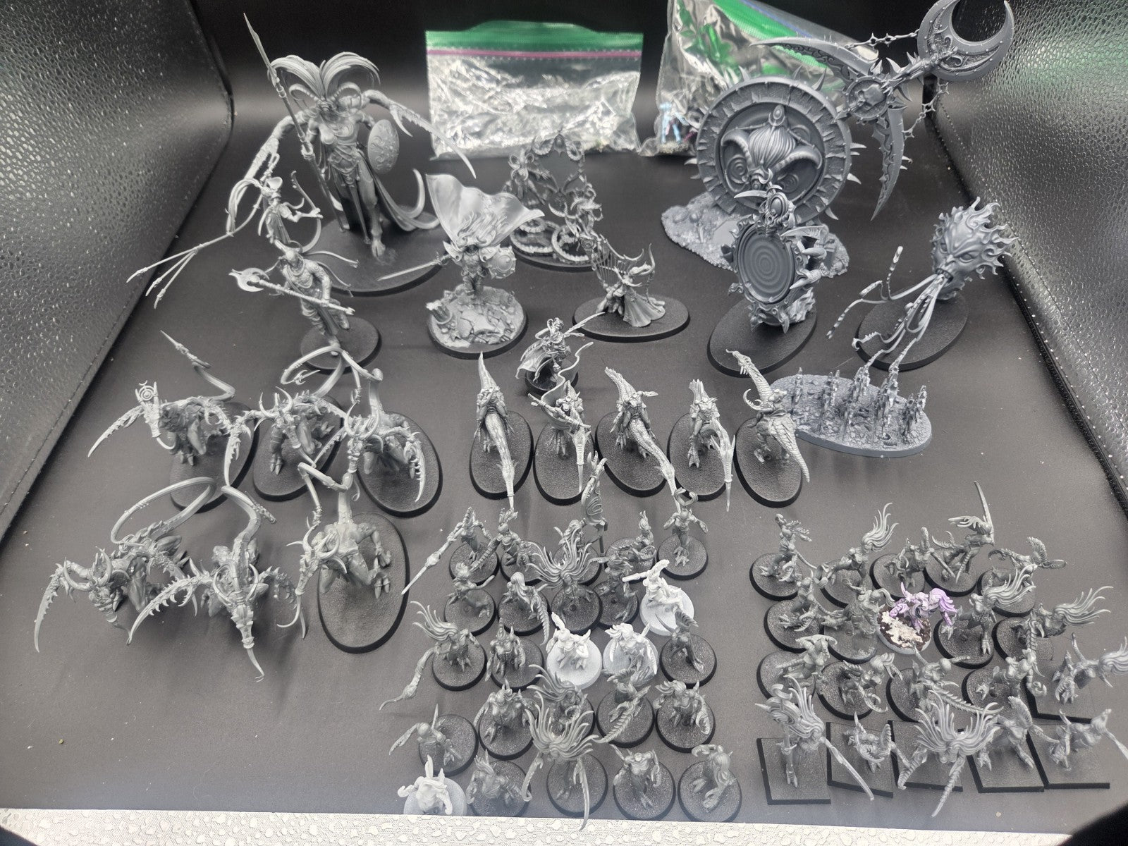 large Hedonites of Slaanesh Army AOS with custom cut foam box1