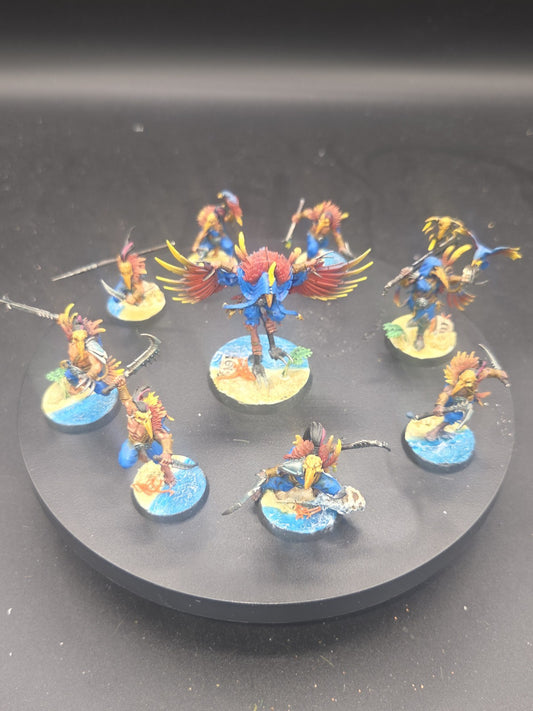 Slaves To Darkness Corvus Cabal Warcry Warhammer Tabletop Ready lot0