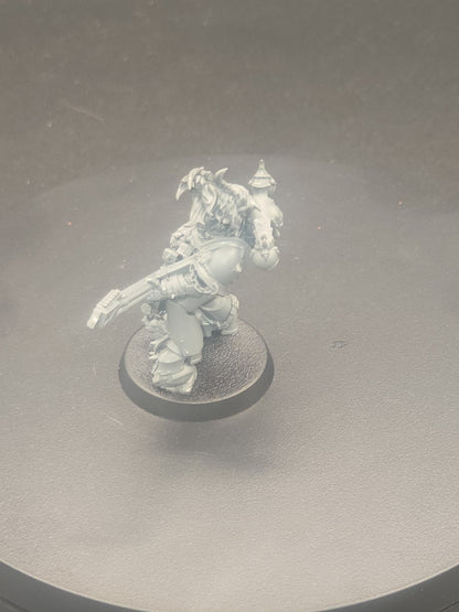 Warhammer 40k- Emperor's Children Noise Marine Special Edition built1